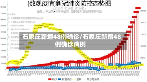 石家庄新增48例确诊/石家庄新增48例确诊病例