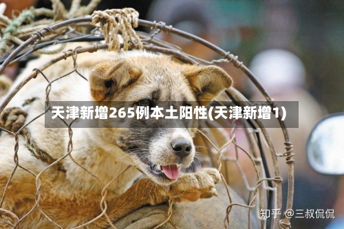 天津新增265例本土阳性(天津新增1)