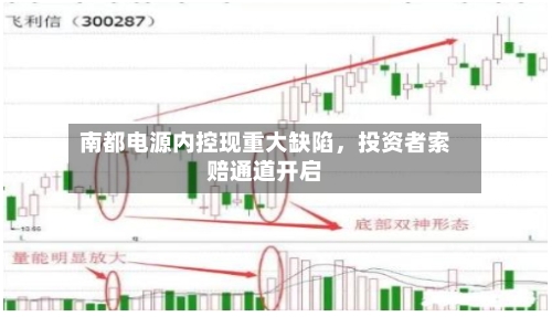 南都电源内控现重大缺陷，投资者索赔通道开启