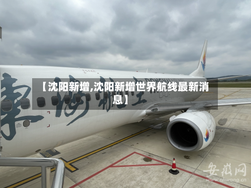【沈阳新增,沈阳新增世界航线最新消息】