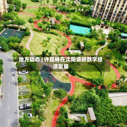 地方动态 | 许昆林在沈阳调研数字经济发展