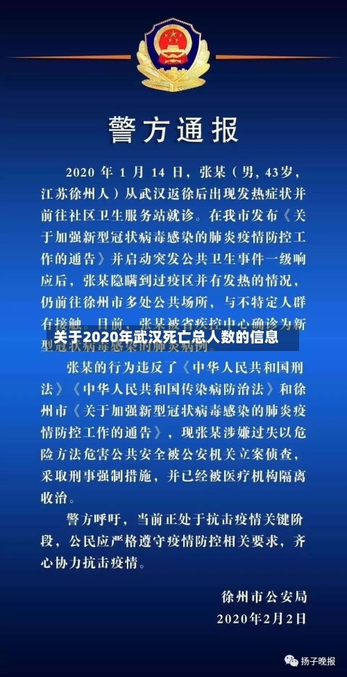 关于2020年武汉死亡总人数的信息