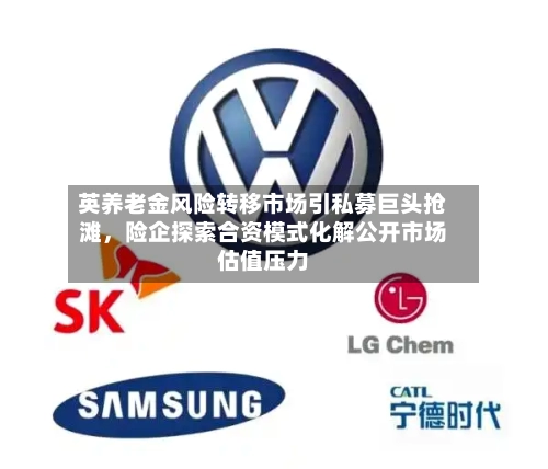 英养老金风险转移市场引私募巨头抢滩，险企探索合资模式化解公开市场估值压力