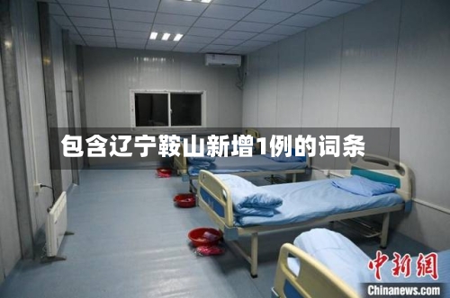 包含辽宁鞍山新增1例的词条