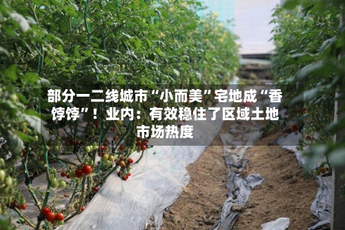 部分一二线城市“小而美”宅地成“香饽饽”！业内：有效稳住了区域土地市场热度