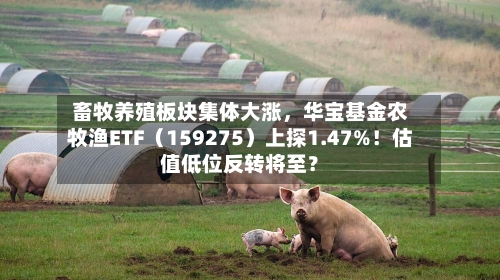 畜牧养殖板块集体大涨，华宝基金农牧渔ETF（159275）上探1.47%！估值低位反转将至？