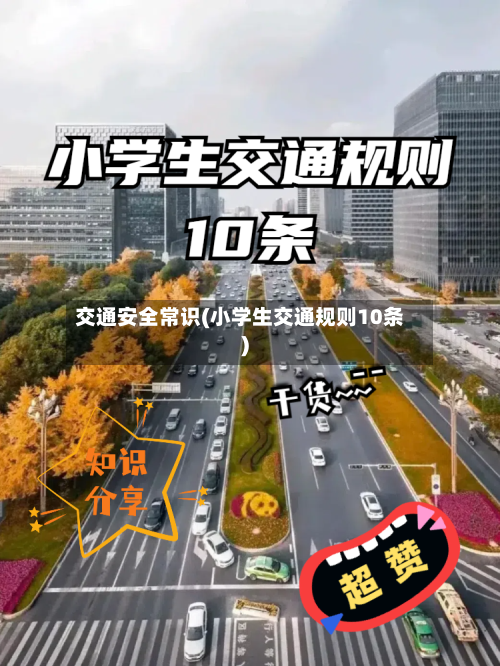 交通安全常识(小学生交通规则10条)