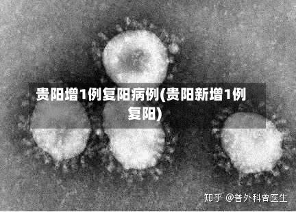 贵阳增1例复阳病例(贵阳新增1例复阳)