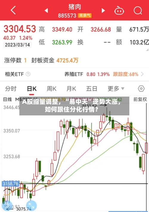 A股缩量调整，“易中天”逆势大涨，如何跟住分化行情？