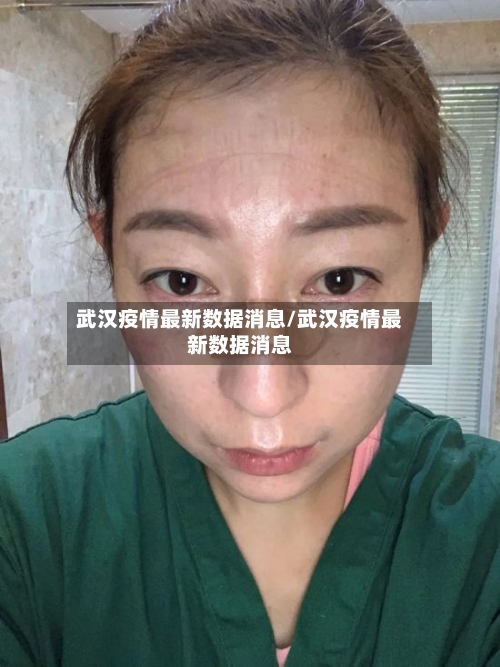 武汉疫情最新数据消息/武汉疫情最新数据消息