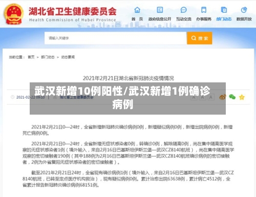 武汉新增10例阳性/武汉新增1例确诊病例