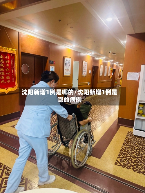 沈阳新增1例是哪的/沈阳新增1例是哪的病例