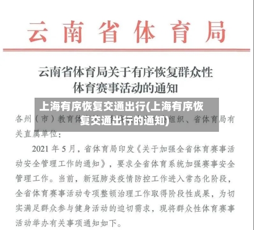上海有序恢复交通出行(上海有序恢复交通出行的通知)