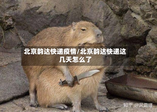 北京韵达快递疫情/北京韵达快递这几天怎么了