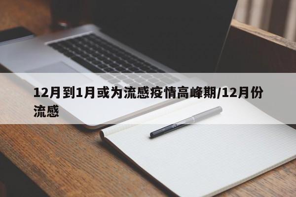 12月到1月或为流感疫情高峰期/12月份流感