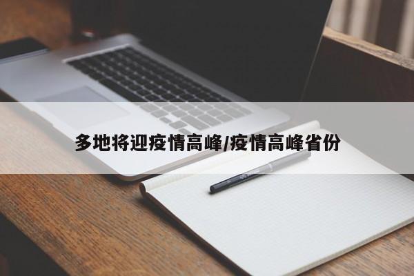 多地将迎疫情高峰/疫情高峰省份