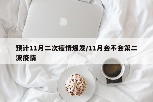 预计11月二次疫情爆发/11月会不会第二波疫情