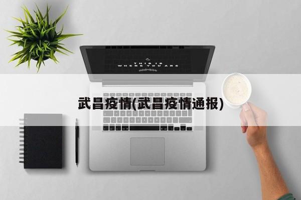 武昌疫情(武昌疫情通报)